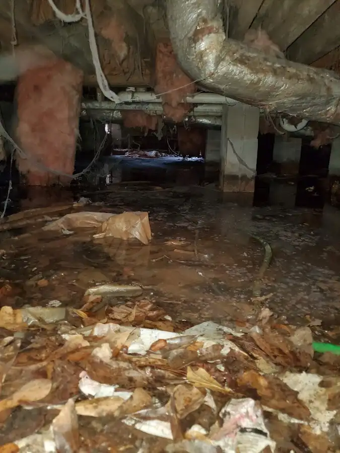Crawl space flood assessment for Commercial Water Damage Restoration in Skidaway Island